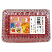 Daiwa Feeling Plastic Lunch Box Fresh Pack - 