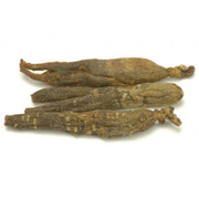 Shih Chu Red Ginseng Roots Num 45 90 Roots - 