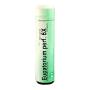 Eupatorium Perfoliatum 6X - 