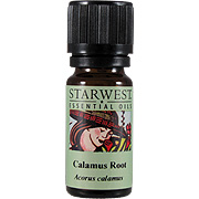 Calamus Root Oil - 