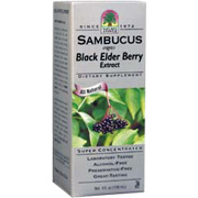 Sambucus - 