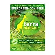 Evergreen Deodorant Stick - 