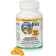 Jiva Curcumin & Fermented Soy Plus - 