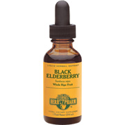 Black Elderberry Extract - 