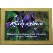 Set of FES Flower Cards English - 