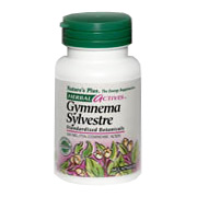 Herbal Actives Gymnema Sylvestre 300 mg - 