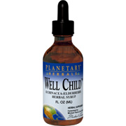 Well Child Echinacea-Elderberry Syrup - 
