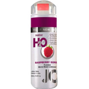 H2O Flavor Raspberry Sorbet - 