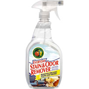 Stain & Odor Remover - 