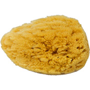 Nens Num 102 Natur Sea Sponge Large -