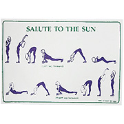 Reflex Salute Sun Postcard -