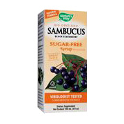 Sambucus Sugar-Free Syrup - 