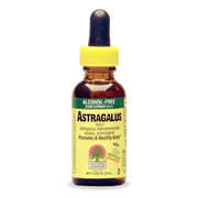 Astragalus Alcohol Free Extract - 