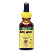 Black Walnut Hulls Alcohol Free Extract - 