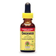 Chickweed Herb Extract - 