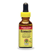 Echinacea Root Extract - 
