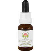 Green Spider Orchid Individual Essences - 