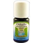 Azalea Absolute Essential Oil Singles - 