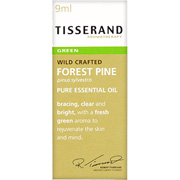 Pine Essential Oil - 