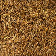 Caraway Seeds Whole -