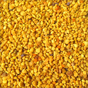 Bee Pollen Whole Imported -