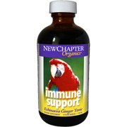 Immune Support - Echin. Ginger Tonic - 