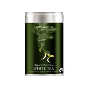 White Tea - 