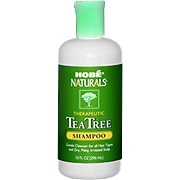 Shampoo, Tea Tree - 