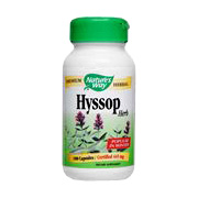 Hyssop - 