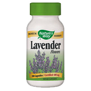 Lavender Flowers - 