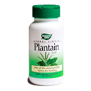 Plantain Leaf - 