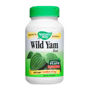 Wild Yam - 
