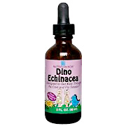 Rhino Echinacea - 