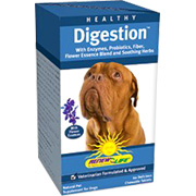 Healthy Digestion - 