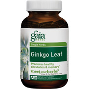 Ginkgo Leaf - 