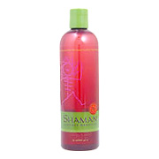 Mango & Mint Moisturizing Shampoo - 