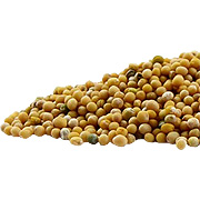 Organic Mustard Seed Whole Yellow - 