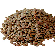Organic Red Lentil Sprouting Seed - 