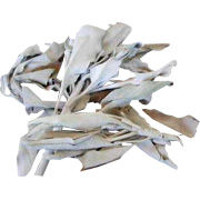 Sage Bundles, White Ceremonial Wildharvested - 