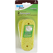 Replacement Sponges - 