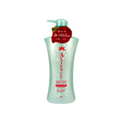 Asience Rich Type Conditioner Pump - 