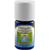 Mugwort, Wild Rare & Uncommon Essential Oil - 