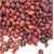 Rose Hips Whole -