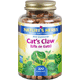 Cat's Claw - 
