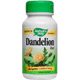 Dandelion Root - 