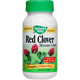 Red Clover Blossom & Herb - 