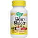 Kidney Bladder - 