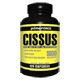 Cissus - 