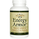 Energy Armor - 