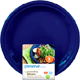 On The Go Plate Midnight Blue Large - 